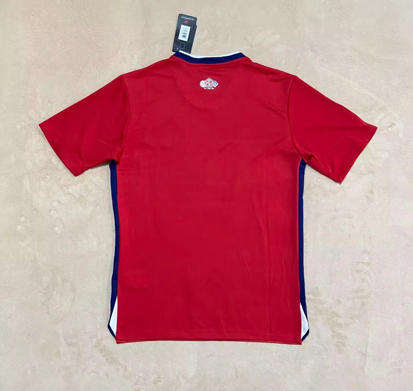 24/25 Lille home