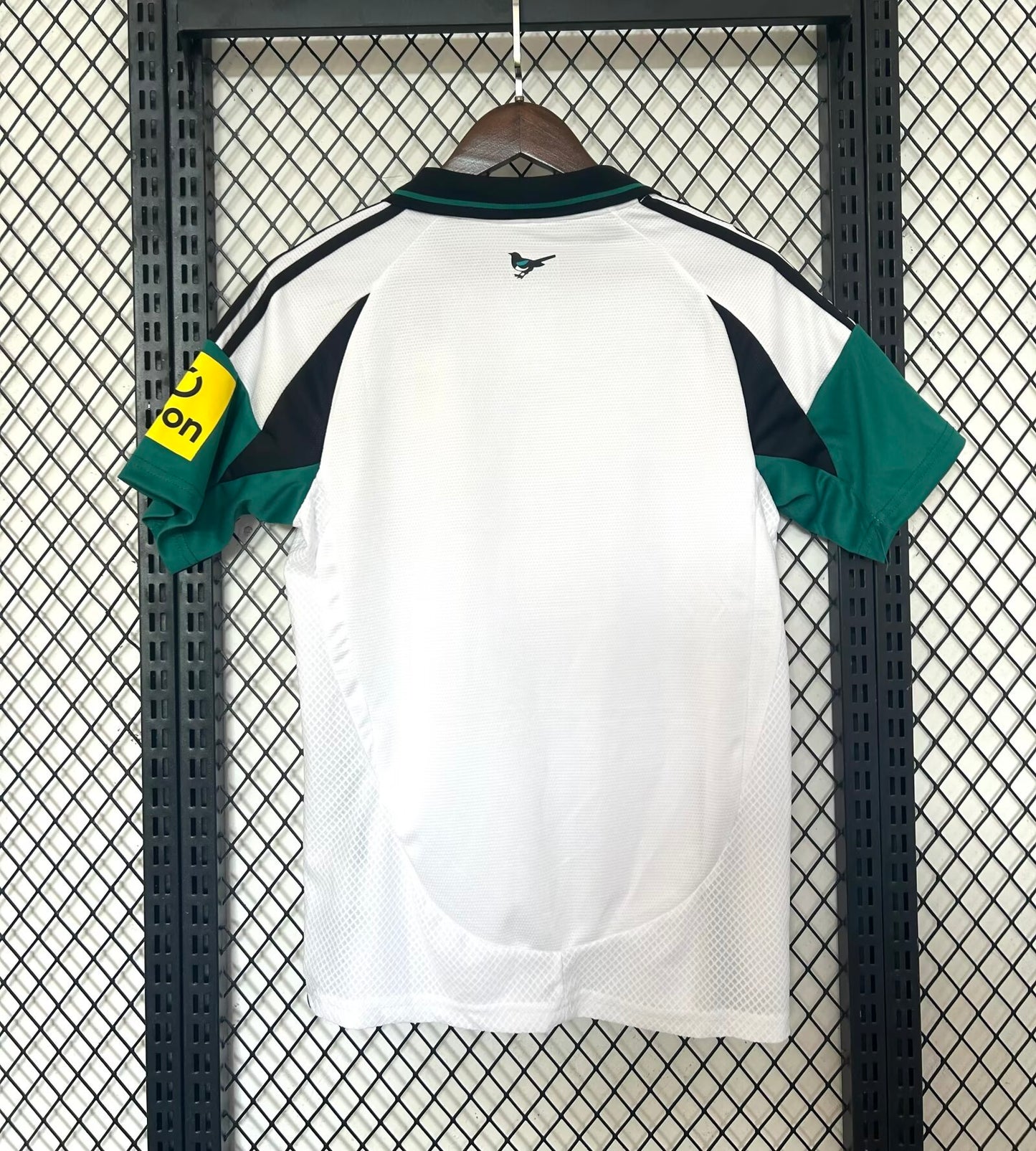 24/25 Newcastle third away