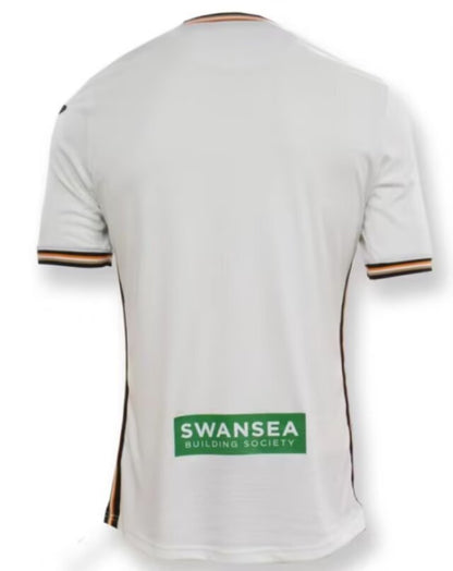 24/25 Swansea City at home