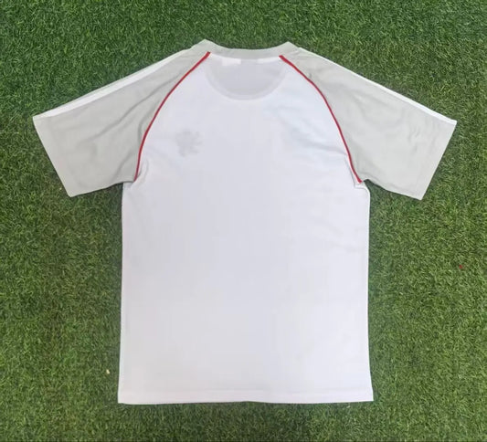25/26 Lyon Gray White T-shirt