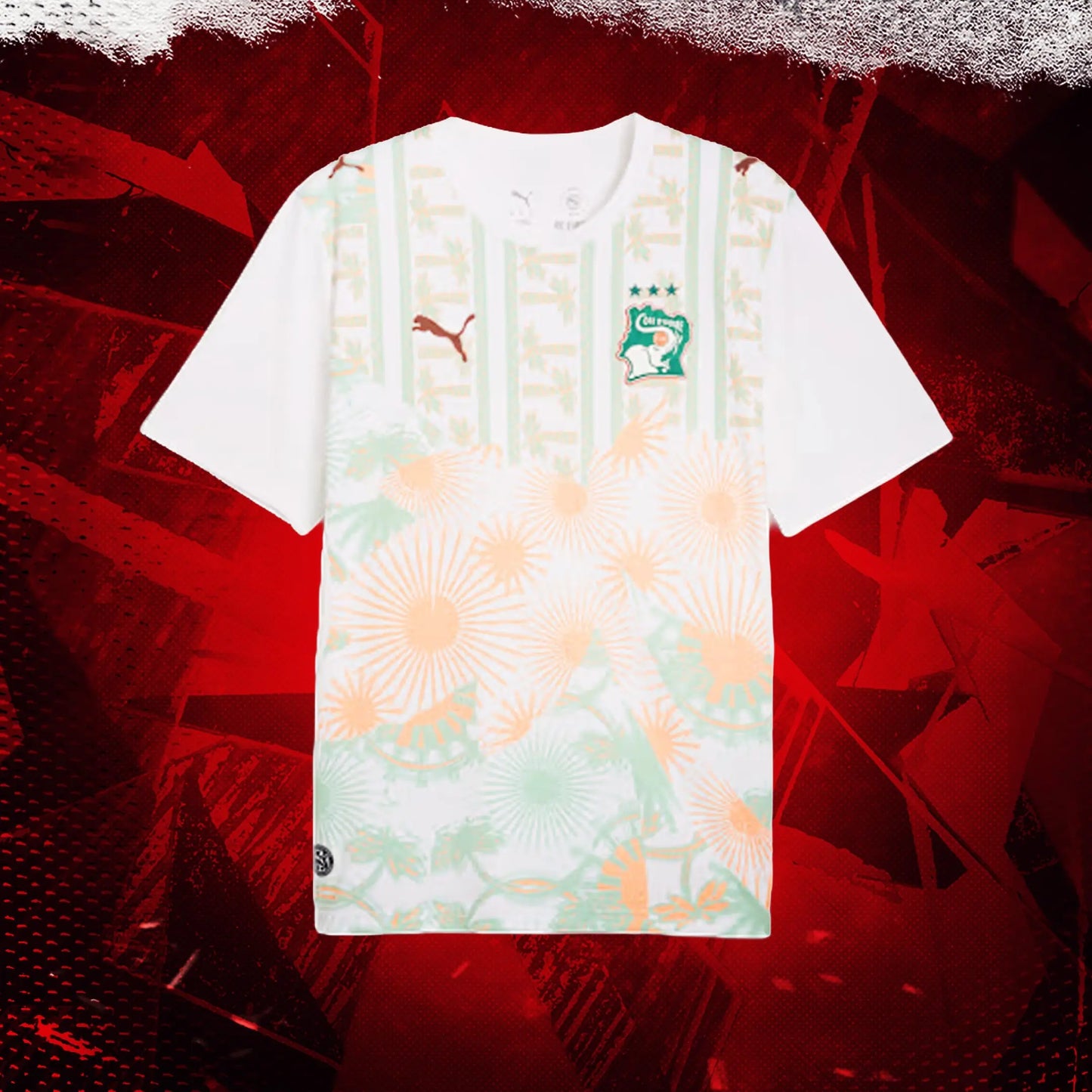Maillot Côte d’Ivoire Coupe du Monde 2026 – Extérieur - Max2Kits