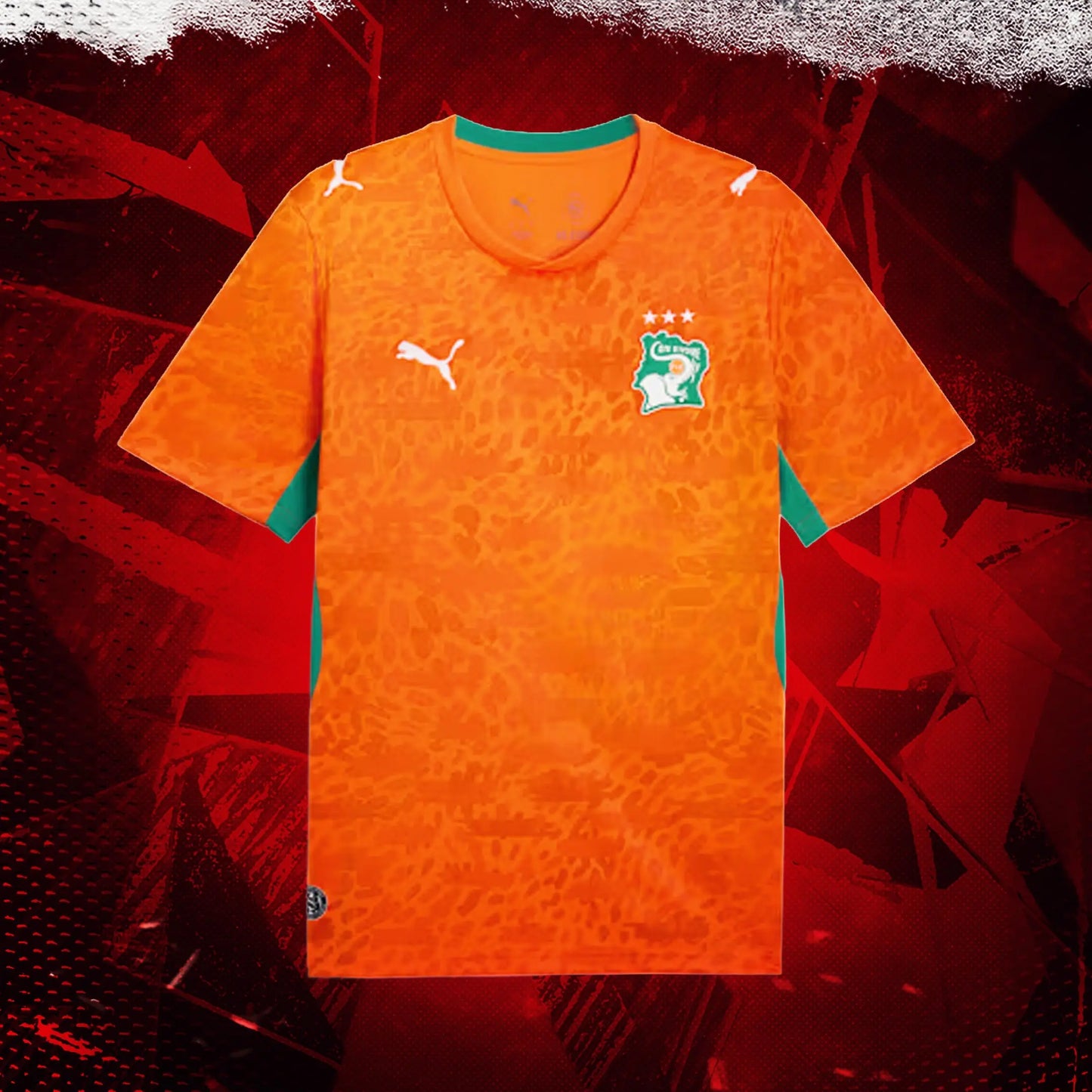 Maillot Côte d’Ivoire Coupe du Monde 2026 – Domicile - Max2Kits