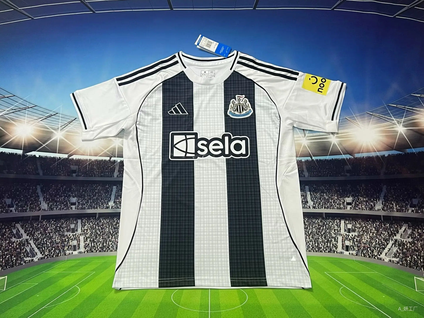 25-26 Newcastle Home