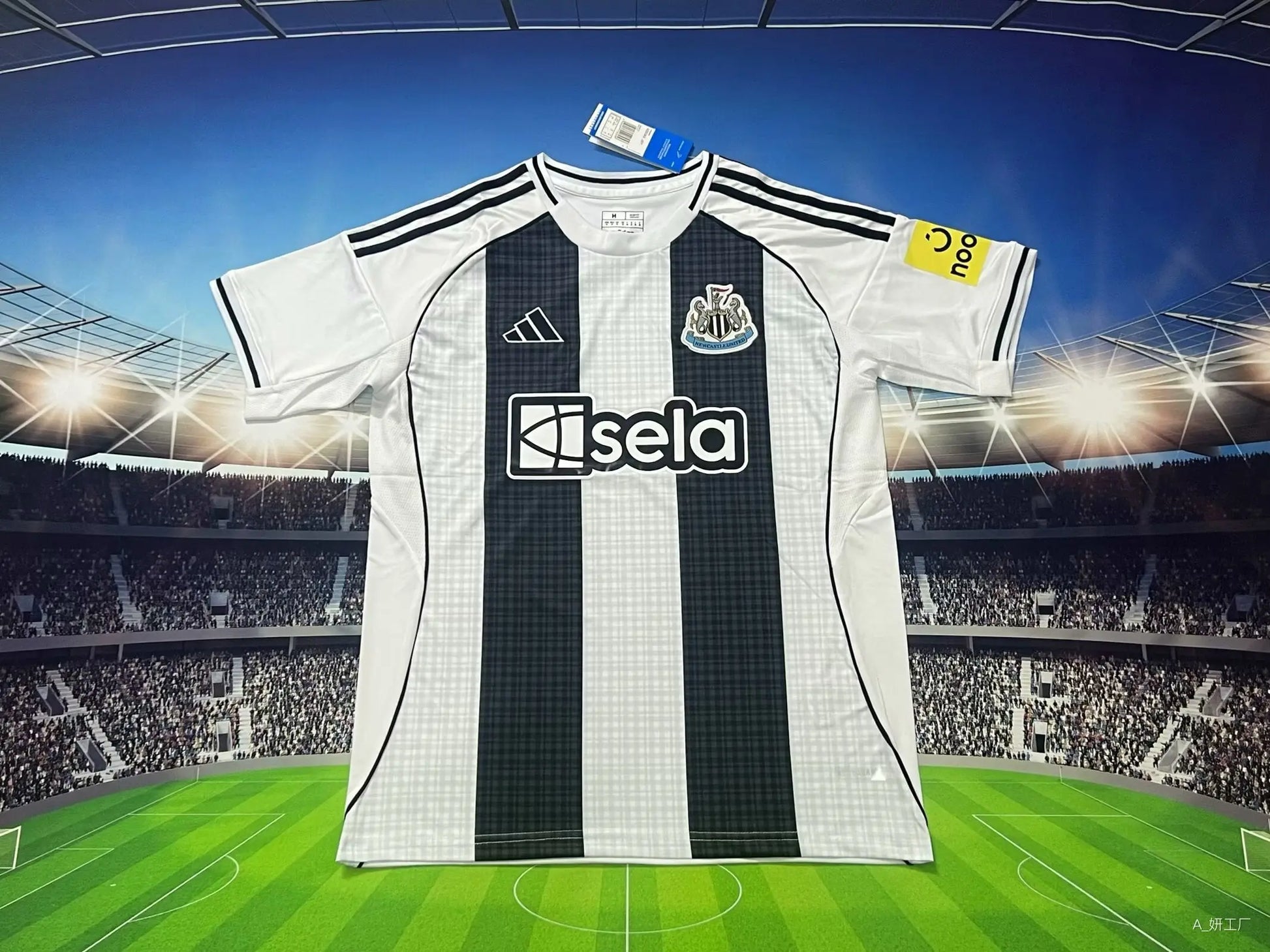 25-26 Newcastle Home