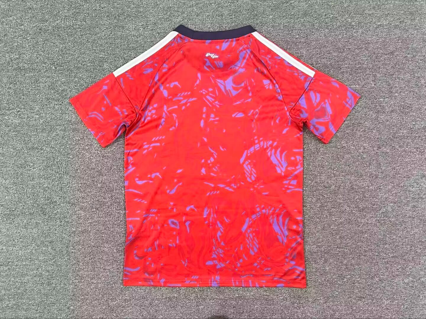 Maillot Costa Rica Coupe du Monde 2026 - Domicile