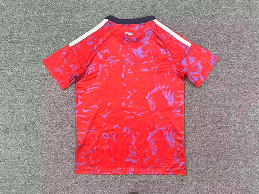 Maillot Costa Rica Coupe du Monde 2026 - Domicile