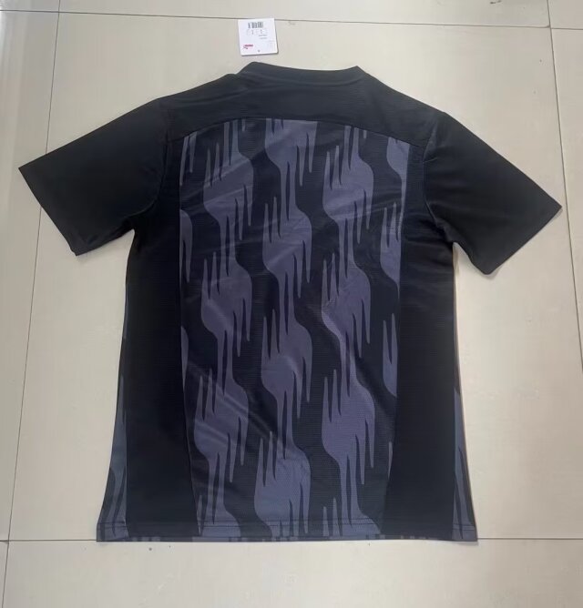24/25 PSV pre-match training kit